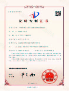 一種膜生物反應器工藝的膜通量在線預測方法