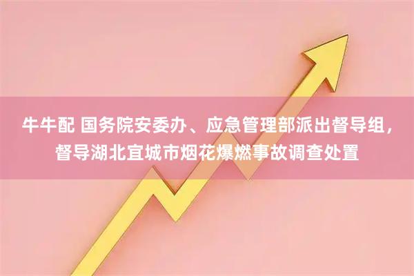 牛牛配 国务院安委办、应急管理部派出督导组，督导湖北宜城市烟花爆燃事故调查处置