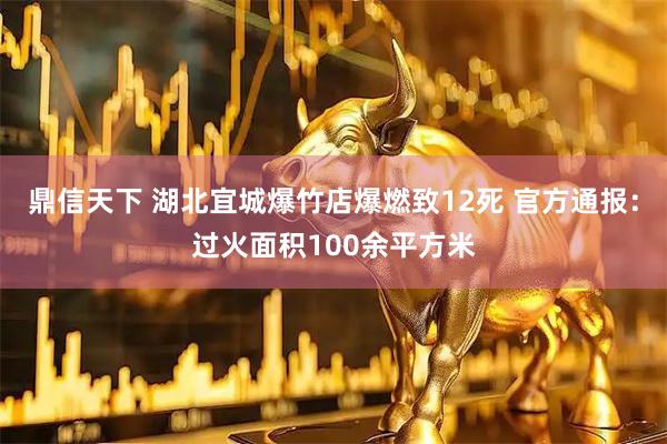 鼎信天下 湖北宜城爆竹店爆燃致12死 官方通报：过火面积100余平方米