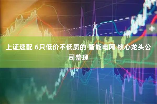 上证速配 6只低价不低质的 智能电网 核心龙头公司整理