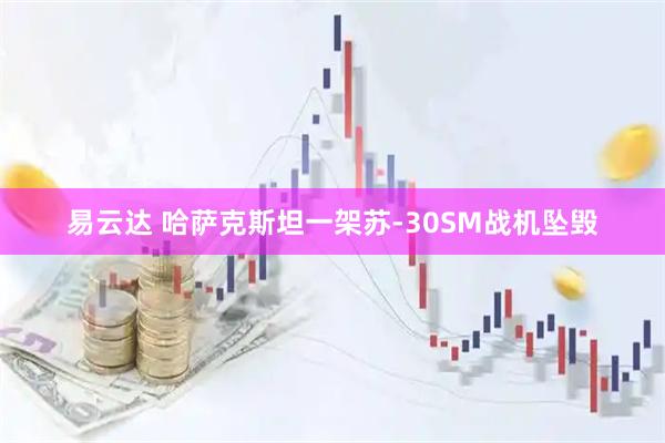 易云达 哈萨克斯坦一架苏-30SM战机坠毁