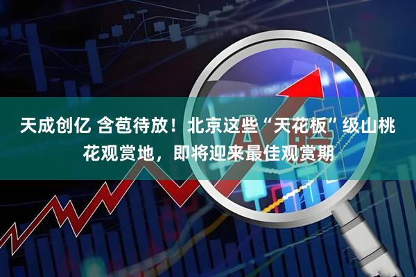 天成创亿 含苞待放！北京这些“天花板”级山桃花观赏地，即将迎来最佳观赏期
