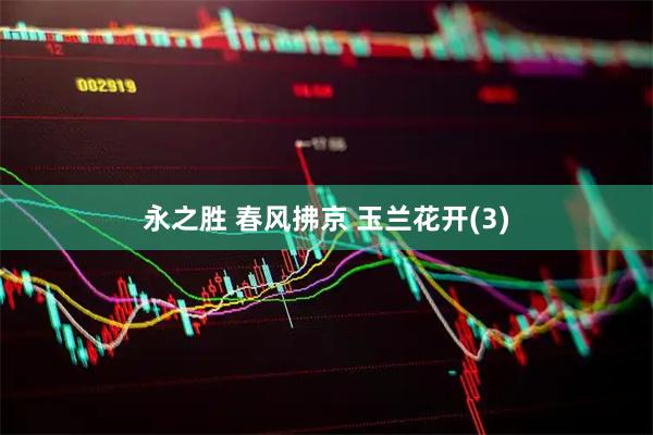 永之胜 春风拂京 玉兰花开(3)