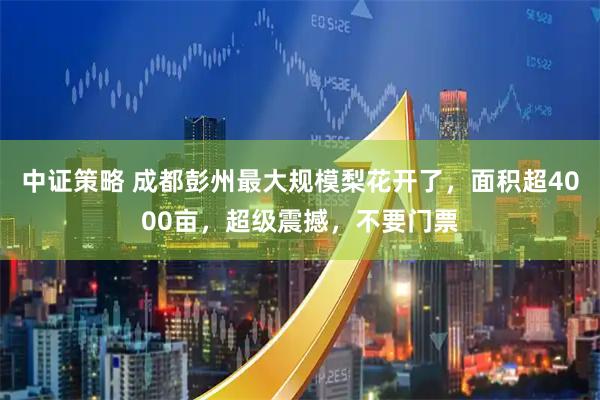 中证策略 成都彭州最大规模梨花开了，面积超4000亩，超级震撼，不要门票