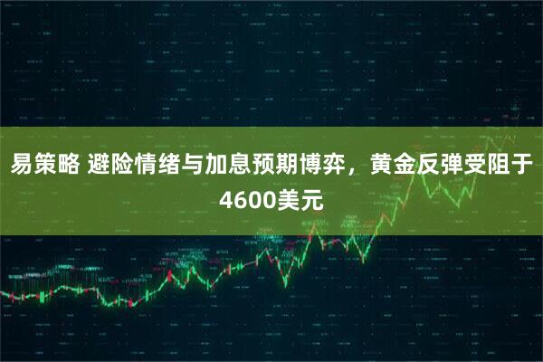 易策略 避险情绪与加息预期博弈，黄金反弹受阻于4600美元