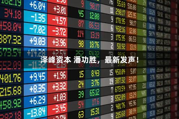 泽峰资本 潘功胜，最新发声！