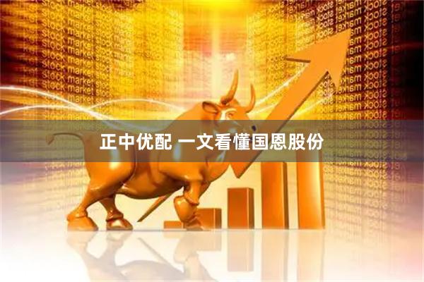 正中优配 一文看懂国恩股份