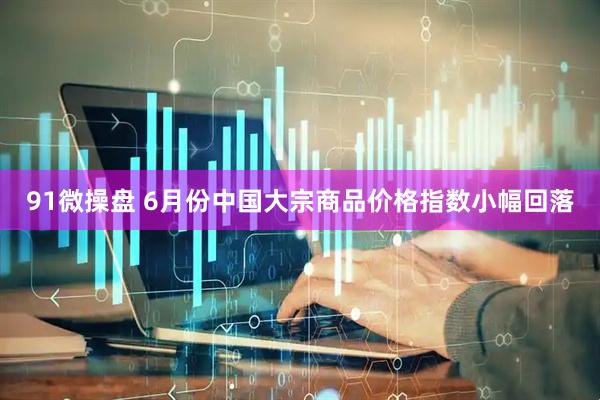 91微操盘 6月份中国大宗商品价格指数小幅回落