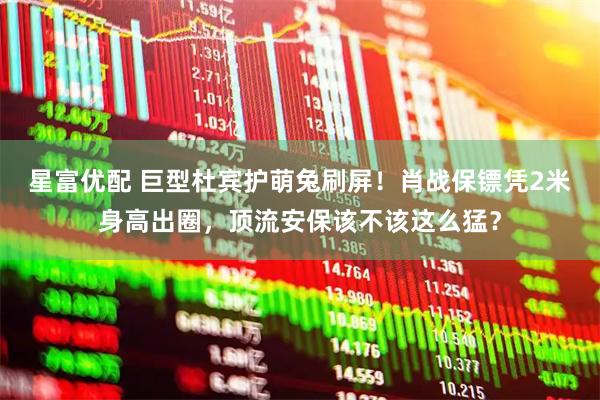 星富优配 巨型杜宾护萌兔刷屏！肖战保镖凭2米身高出圈，顶流安保该不该这么猛？