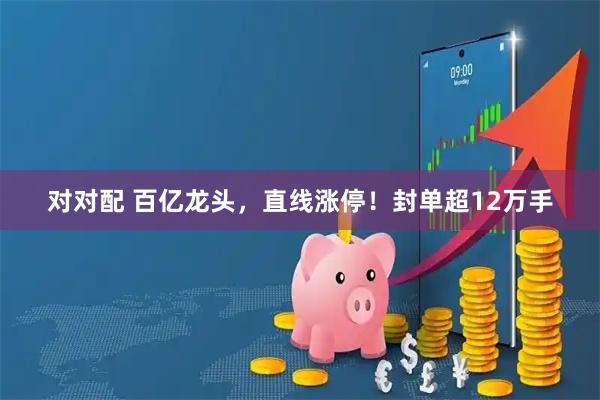 对对配 百亿龙头，直线涨停！封单超12万手