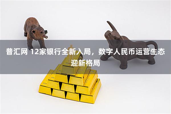 普汇网 12家银行全新入局，数字人民币运营生态迎新格局