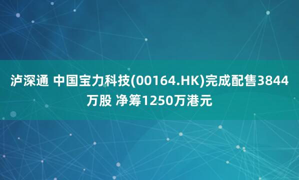 泸深通 中国宝力科技(00164.HK)完成配售3844万股 净筹1250万港元
