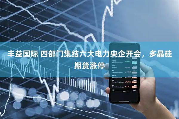 丰益国际 四部门集结六大电力央企开会，多晶硅期货涨停