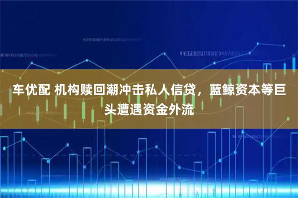 车优配 机构赎回潮冲击私人信贷,蓝鲸资本等巨头遭遇资金外流