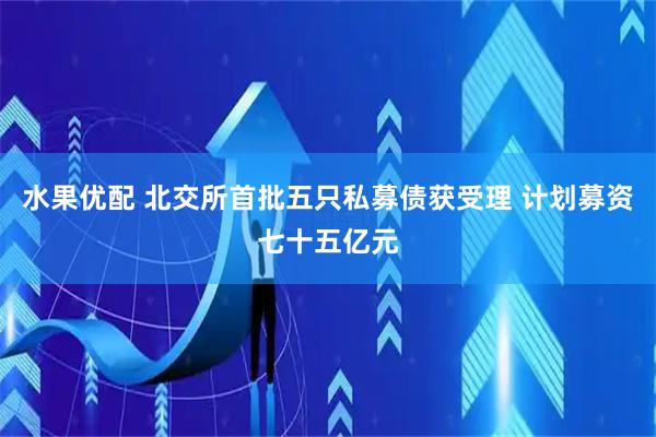 水果优配 北交所首批五只私募债获受理 计划募资七十五亿元