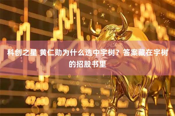 科创之星 黄仁勋为什么选中宇树？答案藏在宇树的招股书里