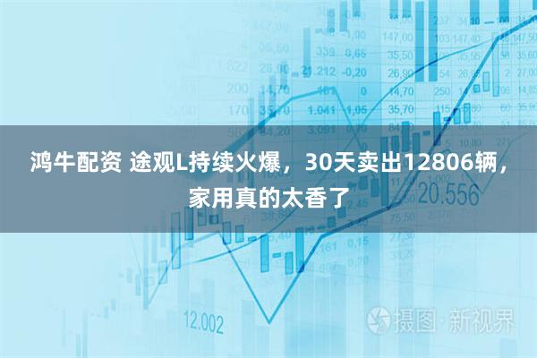 鸿牛配资 途观L持续火爆，30天卖出12806辆，家用真的太香了