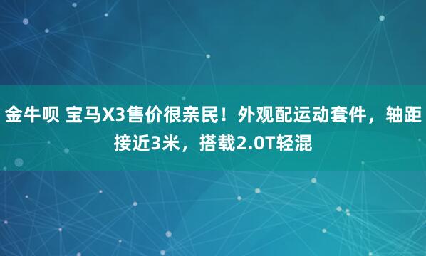 金牛呗 宝马X3售价很亲民！外观配运动套件，轴距接近3米，搭载2.0T轻混